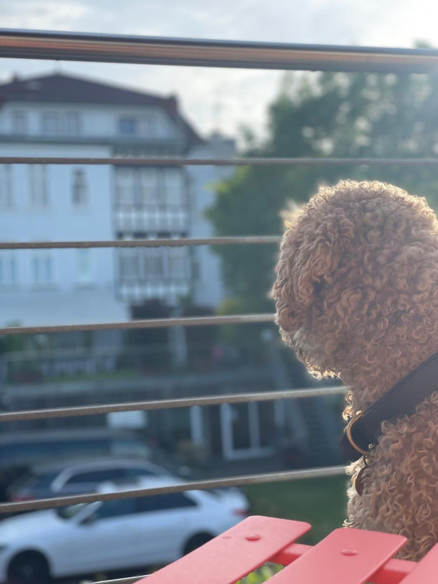 Sonniges Hinterhaus Og Innenstadt Osnabrück Kültér fotó